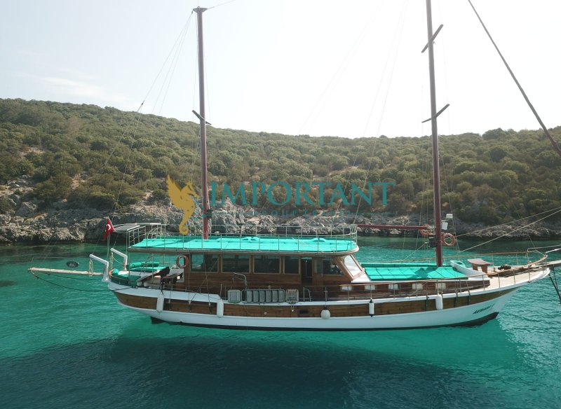 Bodrum'da 70 Kişi Kapasiteli Günübirlik Tekne 