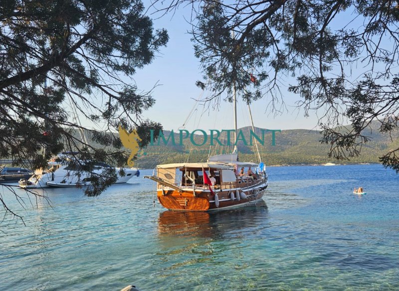 Bodrum'da 10 kişilik Günlük Kiralık Özel Tekne